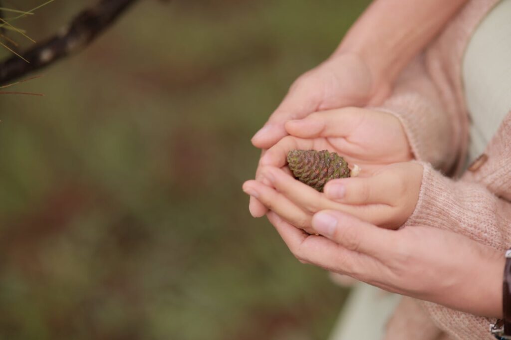 Parent and child hands gently holding a pine cone, nurturing nature's wonder.