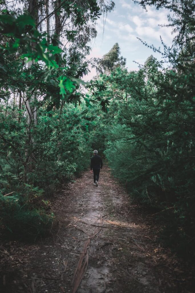 A person walking along a tranquil forest pathway surrounded by lush greenery.